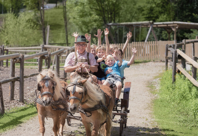 Kinder auf einer Kutsche mit zwei Ponys im Familienhotel Ebner's Waldhof am Fuschlsee, Salzkammergut.